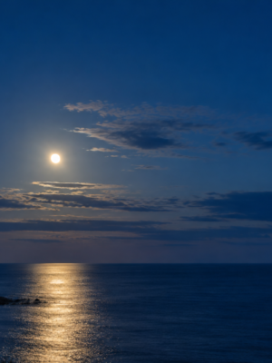 Le Soir
